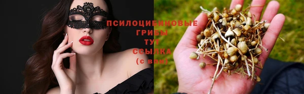 сатива Нягань