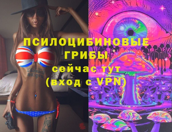 не бодяженный Новозыбков