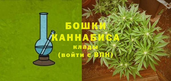 a pvp Новодвинск