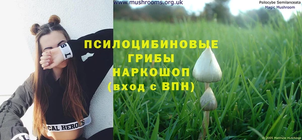 гашиш Няндома