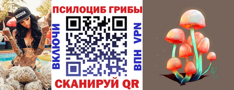 Псилоцибиновые грибы мицелий  mega ТОР  Катайск  купить наркоту 